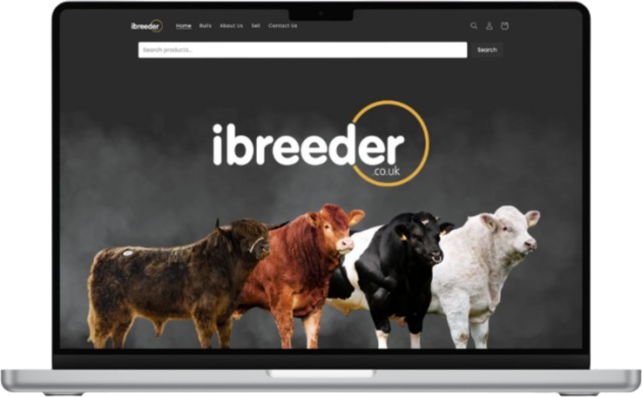 Shopify operations integration dashboard